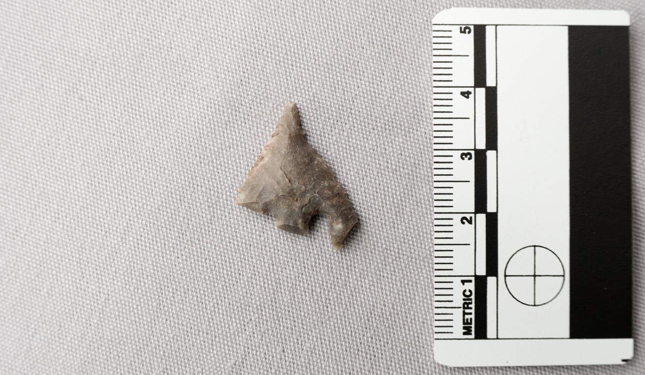 Arrowhead displayed against 5cm scale bar