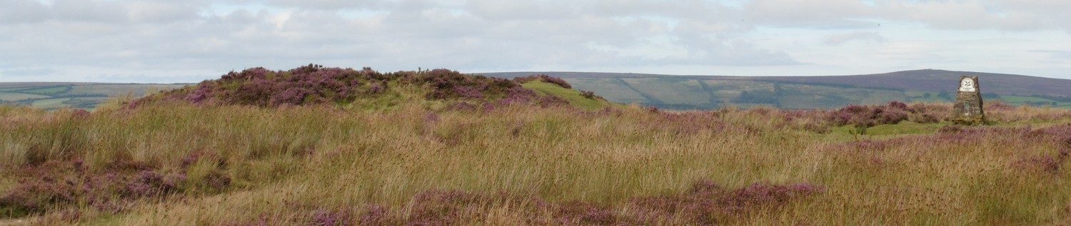 View of Wambarrow adjacent to OS triangulation pillar