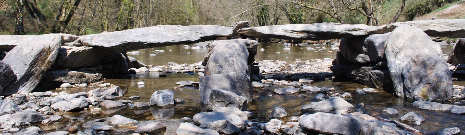 Side view of Tarr Steps bridge from the north